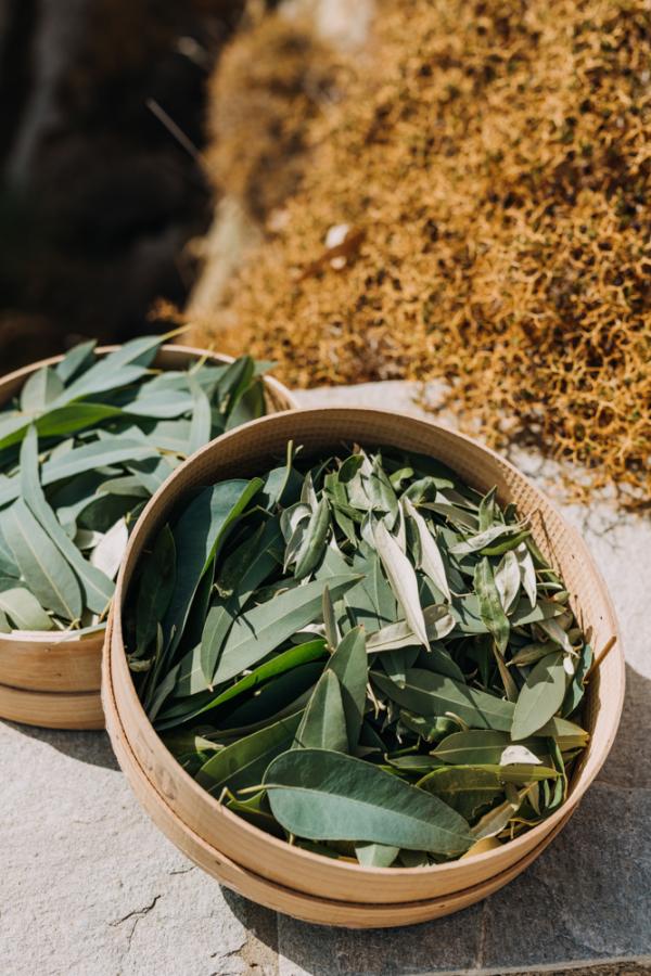 serifos, nature eco living, garden lounge, greek wedding, wedding dinner, olive branches, island chic, green and wood, wedding party, greek island, greece