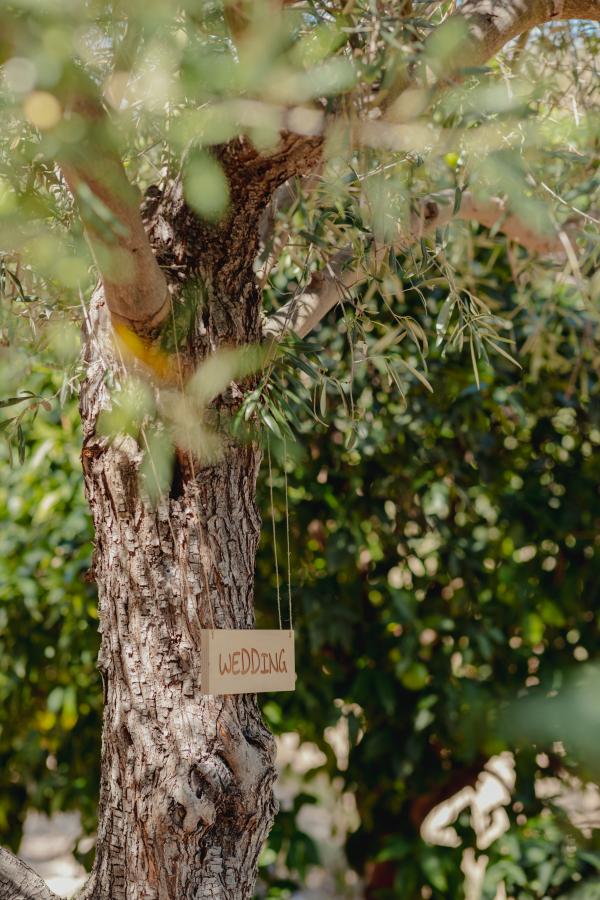 wedding venue, greek weeding, wedding ceremony, nature, green, countryside wedding 