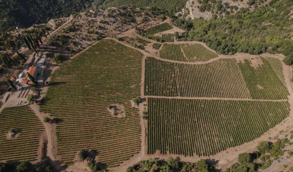 Greece, Greek venue, nature, green, vineyards, name giving