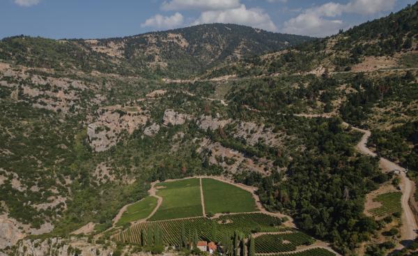 Greece, Greek venue, nature, green, vineyards, name giving