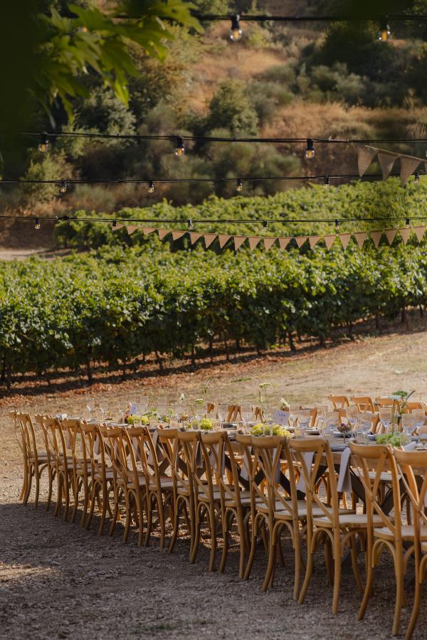 Greece, Greek venue, nature, green, vineyards, name giving, venue decoration, dinner decoration, tablesetting, 