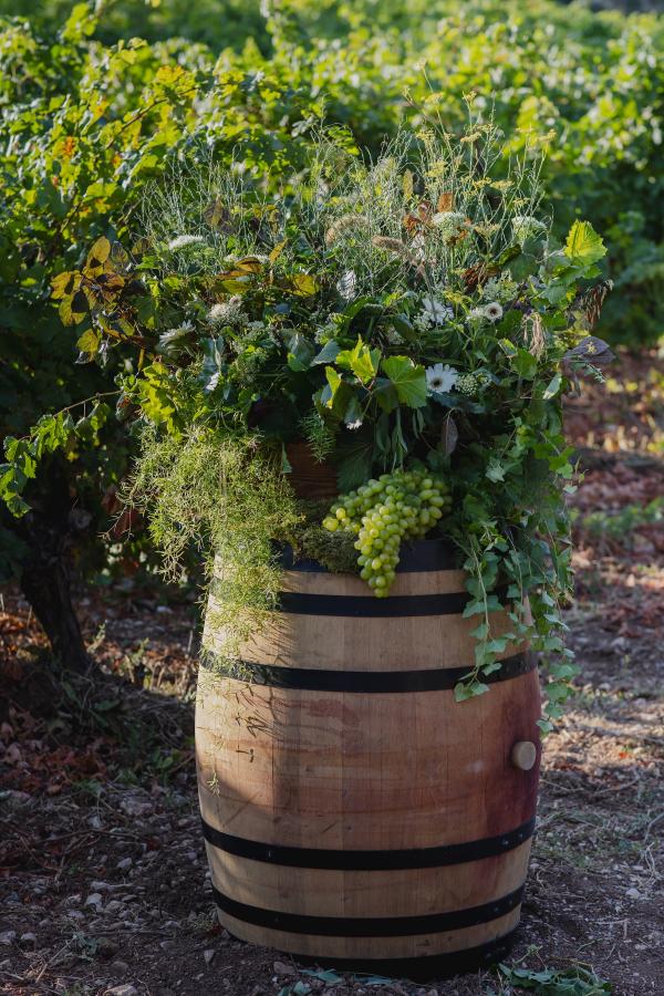Greece, Greek venue, nature, green, vineyards, name giving, ceremony decoration, flower decoration
