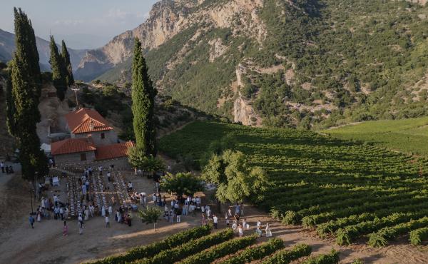 Greece, Greek venue, nature, green, vineyards, name giving, venue decoration, dinner decoration  