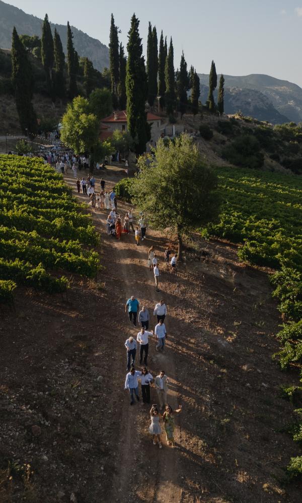 Greece, Greek venue, nature, green, vineyards, name giving, ceremony decoration 