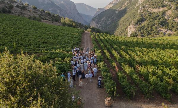 Greece, Greek venue, nature, green, vineyards, name giving
