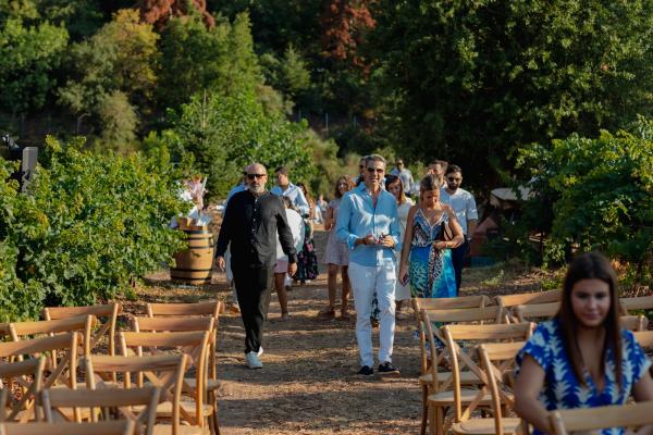 Greece, Greek venue, nature, green, vineyards, name giving, ceremony decoration 