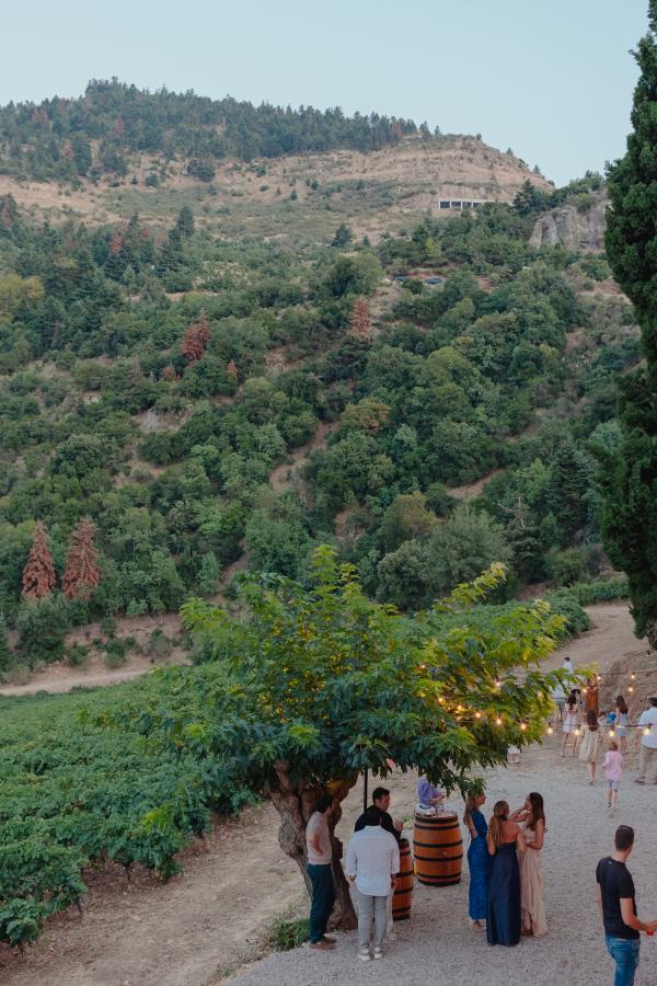 Greece, Greek venue, nature, green, vineyards, name giving, ceremony decoration, string light