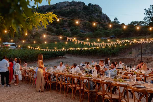 Greece, Greek venue, nature, green, vineyards, name giving, venue decoration, dinner decoration, grapes, string light, dinner party